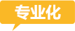專業化 專業化